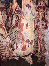 Мясо Оптом Говядина Баранина Курица Индейка Утка - фото 4