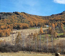 Территория (уклон) под горнолыжку в горном Алтае у речки - фото 8