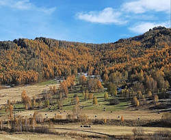 Территория (уклон) под горнолыжку в горном Алтае у речки - фото 9
