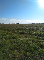 Земельный участок сельхозназначения 92 гектар