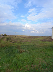 Земельный участок сельхозназначения 98 гектар - фото 1