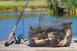 Нужен попутчик на рыбалку в санкт-петербурге - фото 3