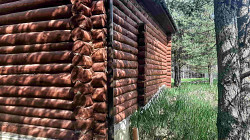 Бревенчатый дом в сказочном хвойном лесу у живописного озера - фото 5