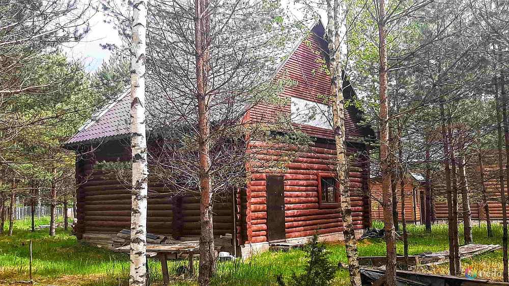 Бревенчатый дом в сказочном хвойном лесу у живописного озера
