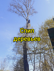 Спил/ обрезка/ вырубка деревьев Расчистка участка Серпухов
