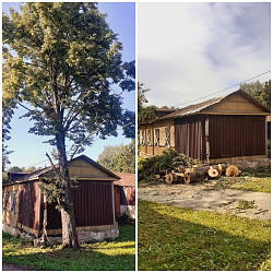 Спил/ обрезка/ вырубка деревьев Расчистка участка Серпухов - фото 4