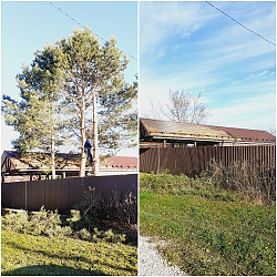 Спил/ обрезка/ вырубка деревьев Расчистка участка Серпухов - фото 6