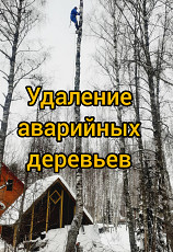 Спил/ обрезка/ вырубка опасных деревьев Чехов