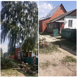 Спил/ обрезка/ вырубка опасных деревьев Чехов - фото 8
