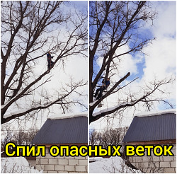 Спил/ обрезка/ вырубка опасных деревьев Чехов - фото 4