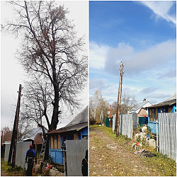 Спил/ обрезка/ вырубка опасных деревьев Чехов - фото 6