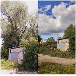 Спил/ обрезка/ вырубка деревьев Расчистка участка Алексин - фото 7