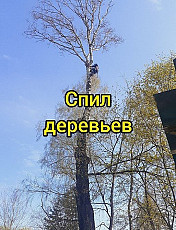 Спил/ обрезка/ вырубка деревьев Расчистка участка Алексин
