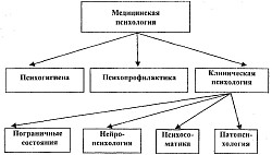 Клинические направления подготовки (медицинская психология)