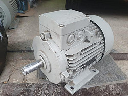 Электродвигатель 4.0 кВт 2880 об/мин Hoyer(Дания) MS-100L2-2