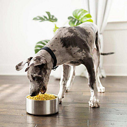 Наборы еды для собак, подобранные по рекомендации диетолога - фото 4