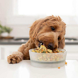 Наборы еды для собак, подобранные по рекомендации диетолога - фото 5