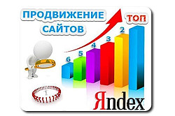 Продвижение сайтов в ТОП Яндекс и Google - фото 1