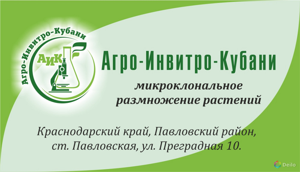 Агро-Инвитро-Кубани