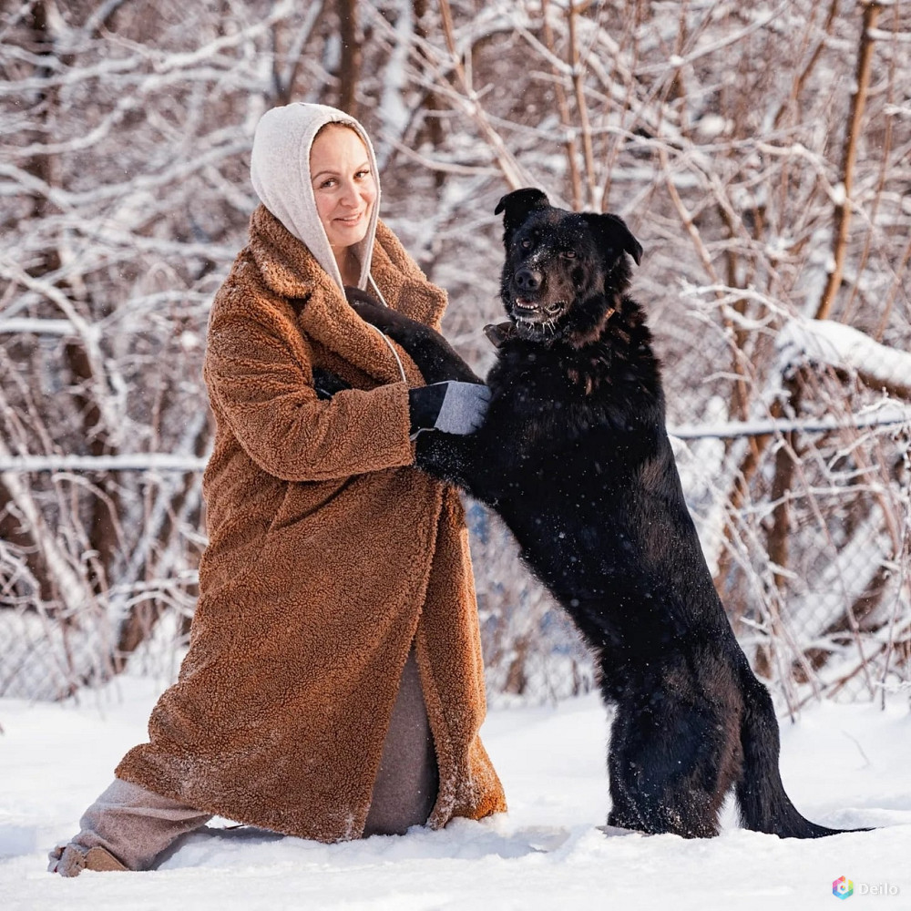 Классный пес Палкан ищет дом в Москве