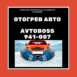 Безопасный прогрев машины 941-007 AvtoBoss