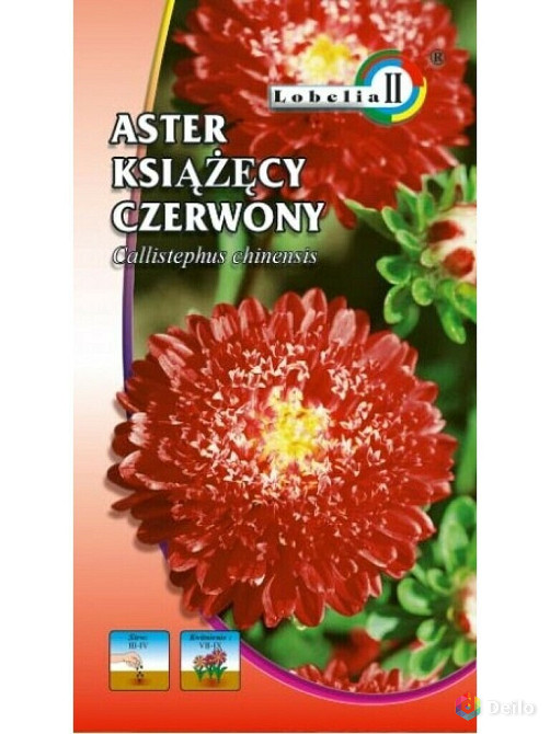 Астра Королевский Размер смесь.Астра княжеская красная