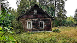 Крепкий дом на хуторе в лесу под Старым Изборском - фото 9