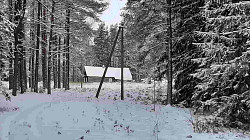 Крепкий дом на хуторе в лесу под Старым Изборском - фото 7