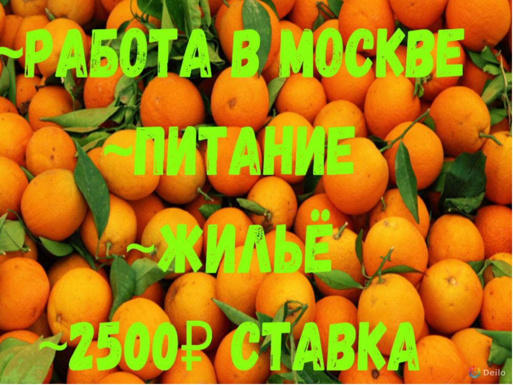 Упаковщик/фасовщик на склад фруктов вазта в Москве 15/30/60