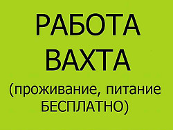 Комплектовщик на склад вахта в Москве от 30 дней