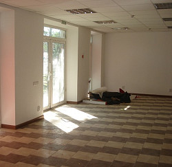 Офисное помещение 50 м2 на 1 линии Московского ш. Аренда - фото 1