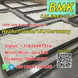 Wickr: sara520 BMK Powder CAS 5449-12-7/80532-66-7 в Нидерла - фото 6