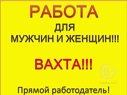 Упаковщик. Вахта от 15 смен. Проживание + питание