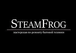 Ремонт бытовой техники - мастерская "SteamFrog"