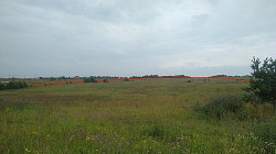 Земля под коттеджный поселок, 8, 6 Га для ИЖС, на Рославльск - фото 3