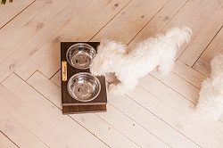 Кормушка, подставка для мисок для кошек и собак малых пород - фото 3