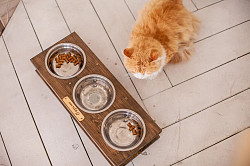 Кормушка, подставка с мисками для кошек и собак малых пород - фото 6