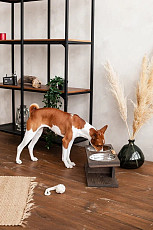 Кормушка, подставка для мисок для собак средних породПодстав - фото 3