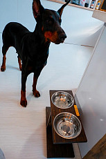 Кормушка, подставка для мисок для собак крупных пород - фото 3
