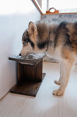 Кормушка, подставка для мисок для собак крупных пород - фото 4