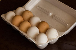 Куриные яйца от фермера