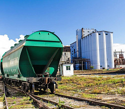 Мука пшеничная в Краснодаре оптом от 1000 тонн