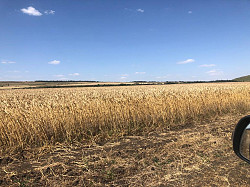 Продажа земель сельхозназначения в Ставропольском крае - фото 4
