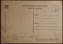 Открытка. Сочи. Парк С.-Х. Опытной Станции. Ареукарий. 1920 - фото 3