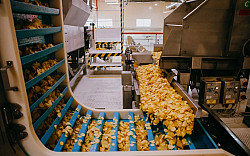 Упаковщицы на производство чипсов - фото 3