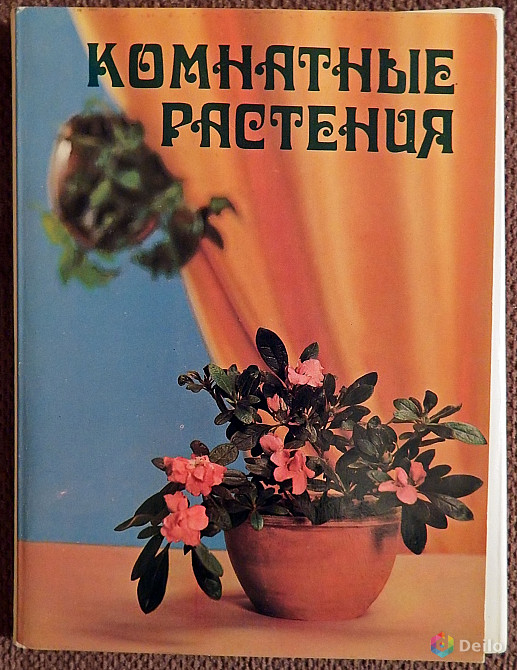 Набор открыток "Комнатные растения". 1983 год