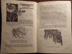 Книга. К. Кузьмина "Лечение пчелиным медом и ядом". 1973 год - фото 5