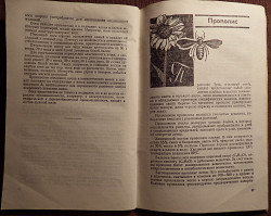 Книга. К. Кузьмина "Лечение пчелиным медом и ядом". 1973 год - фото 6