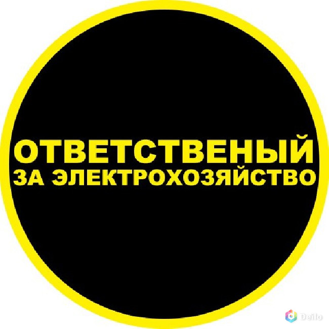 Ответственный за электрохозяйство