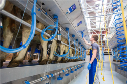 Продажа доильного оборудования для молочных ферм